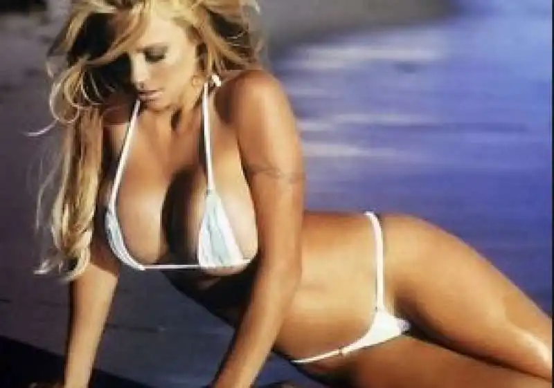 pamela anderson 26