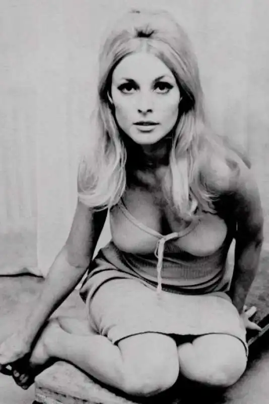 sharon tate 4