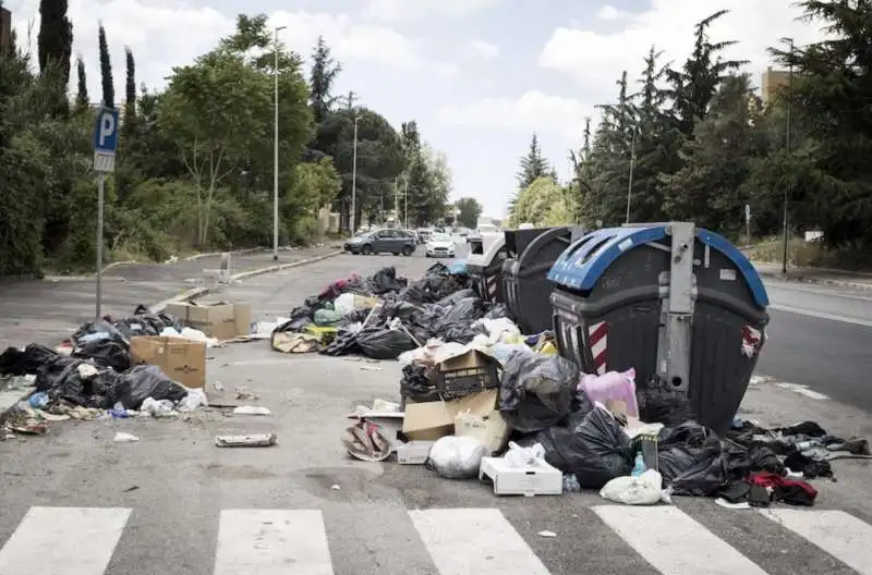 spazzatura a roma 3