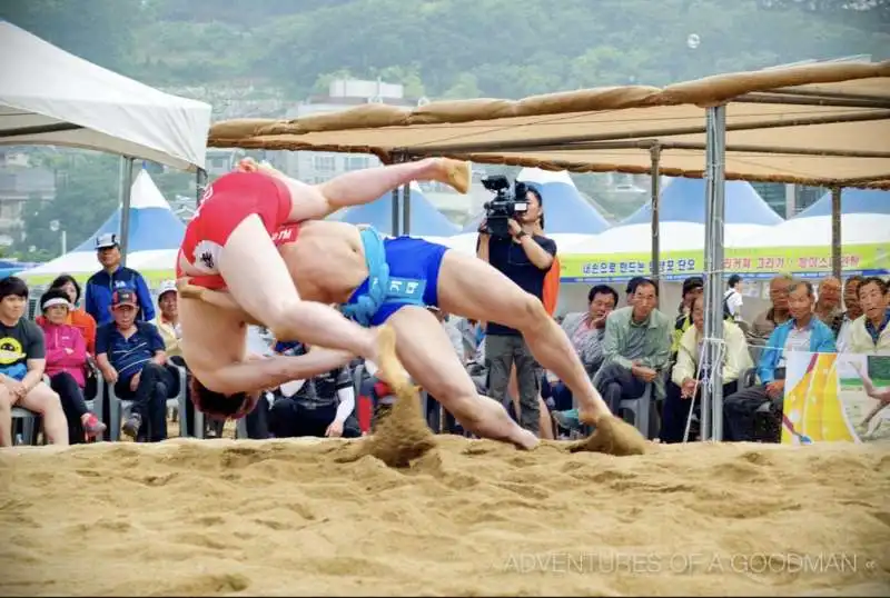 ssirum wrestling coreano 4