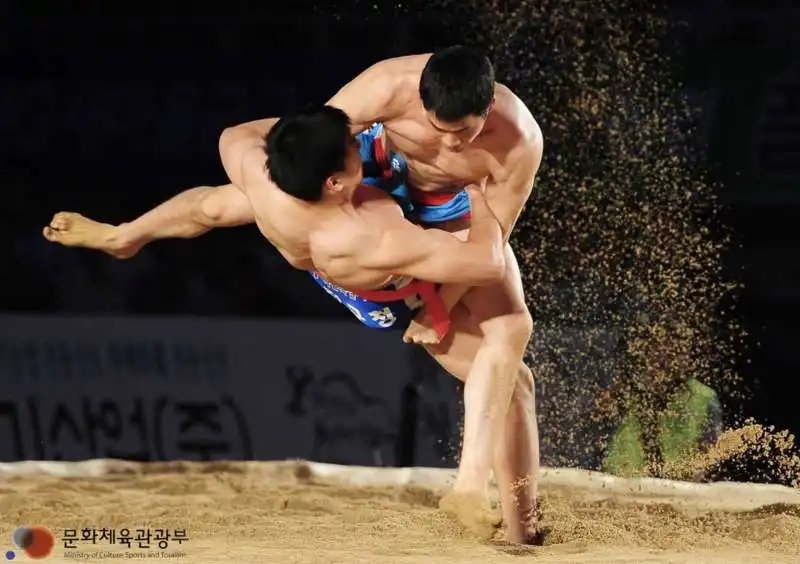 ssirum wrestling coreano 5