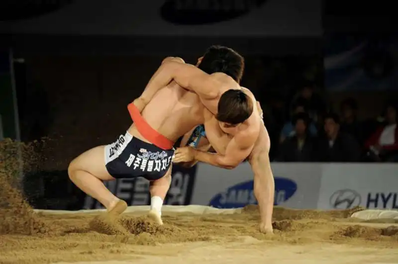 ssirum wrestling coreano 6