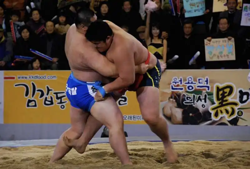 ssirum wrestling coreano 7