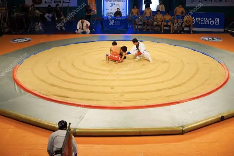 ssirum wrestling coreano 8