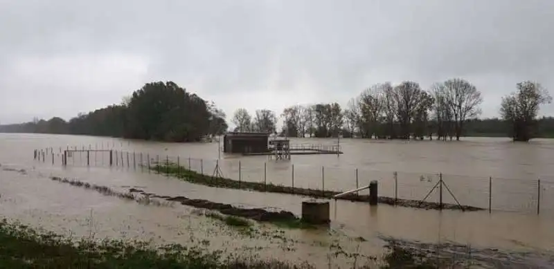 alessandria   esonda il fiume lovassina