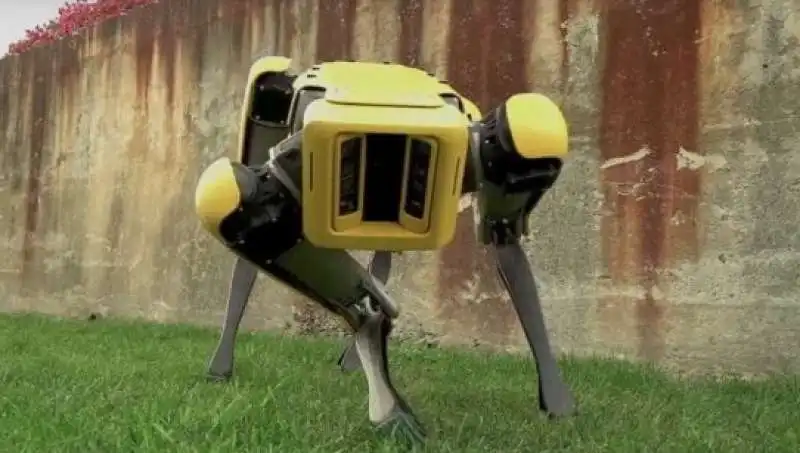 cani robot 19