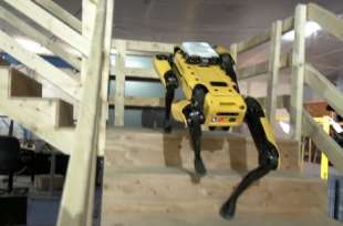 cani robot 3