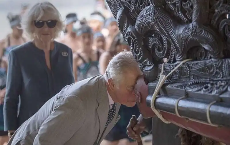 carlo e camilla in nuova zelanda 1 11