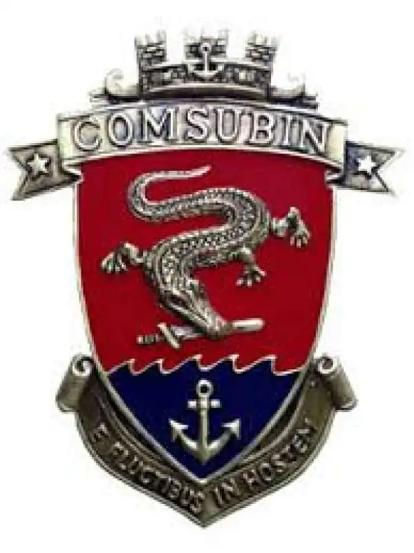 comsubin  2