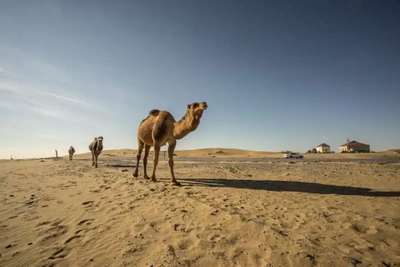 deserto in turkmenistan