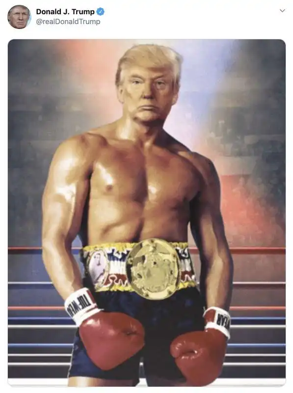 DONALD TRUMP TWITTA UN SUO FOTOMONTAGGIO COME ROCKY