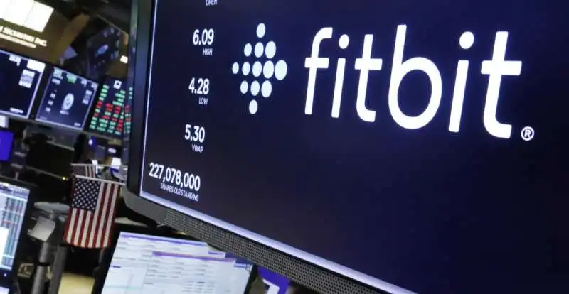 fitbit 1