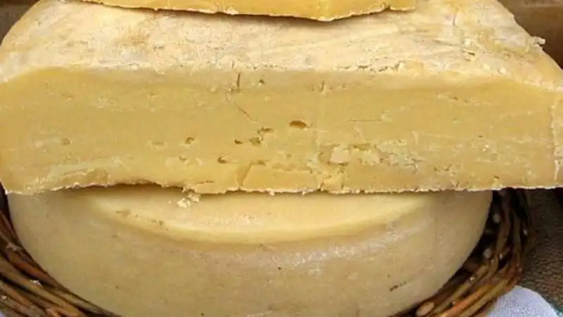 formaggio d'asina