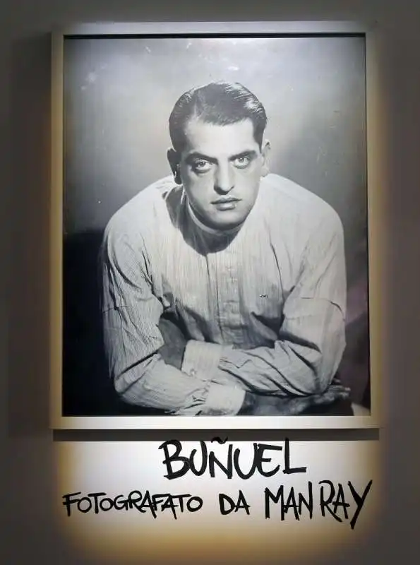 foto di bunuel