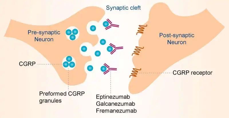 galcanezumab 2