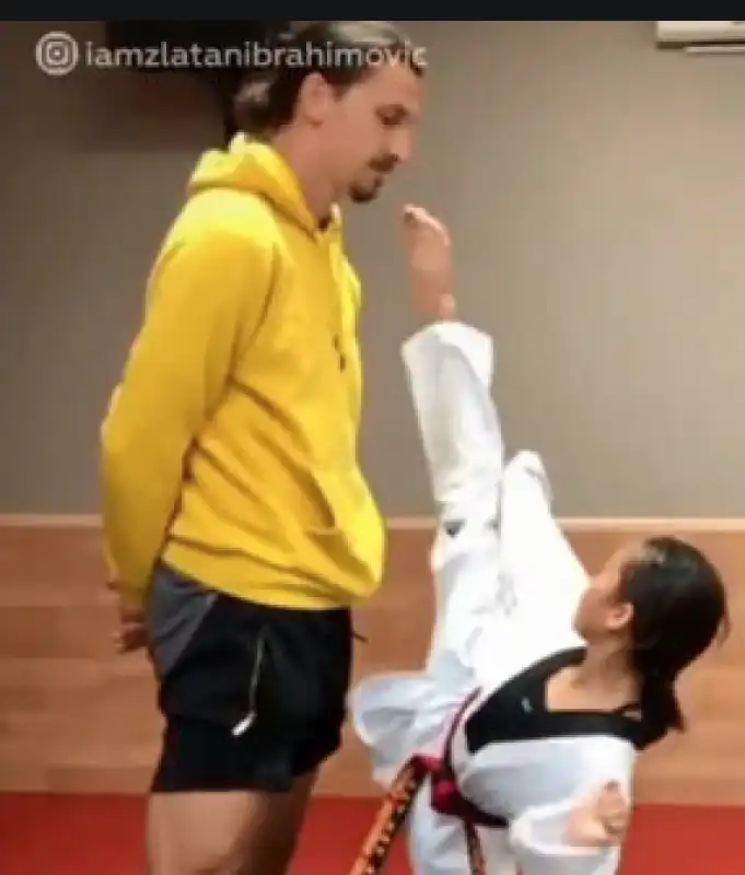 ibra taekwondo