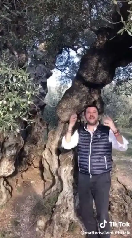 matteo salvini su tiktok 3