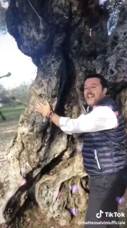 matteo salvini su tiktok 5