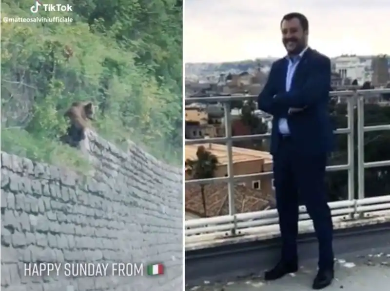 matteo salvini su tiktok 9