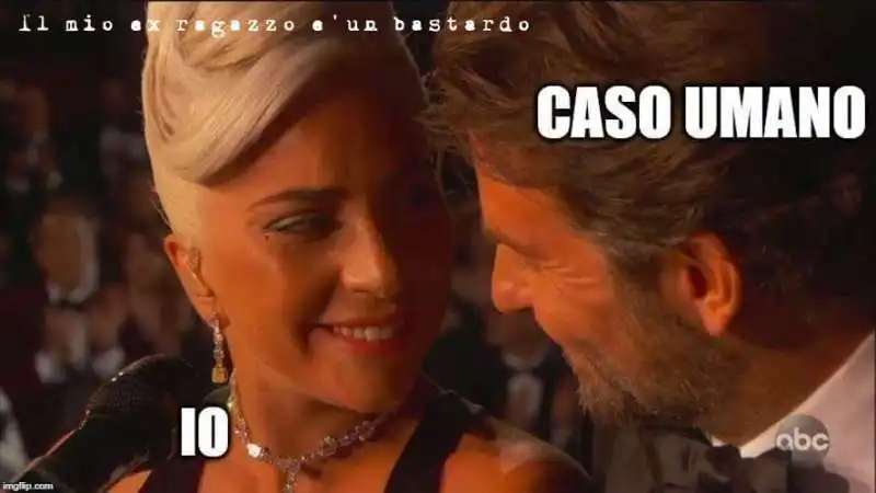 meme lady gaga e bradley cooper 3