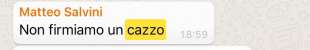 MESSAGGIO DI SALVINI A BAGNAI SUL MES NON FIRMIAMO UN CAZZO GIUGNO