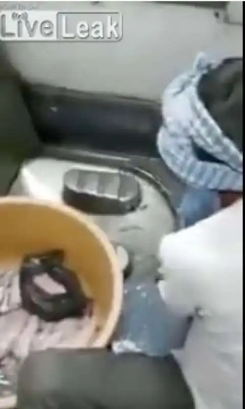 pesce pulito nel bagno di un treno 1