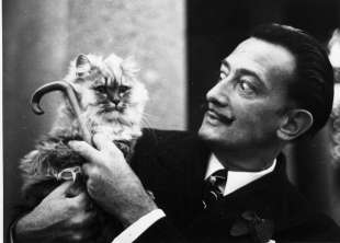 SALVADOR DALI'