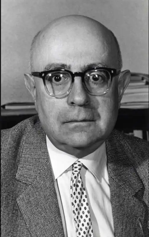 theodor adorno