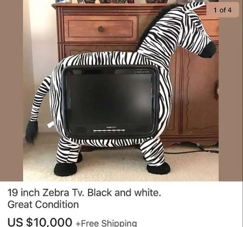 tv zebra