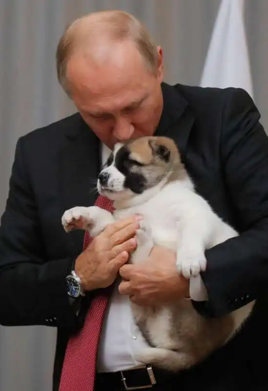 vladimir putin