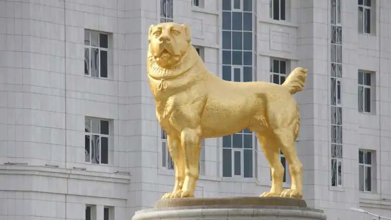 cane d'oro in turkmenistan 2