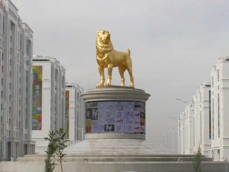 cane d'oro in turkmenistan 3