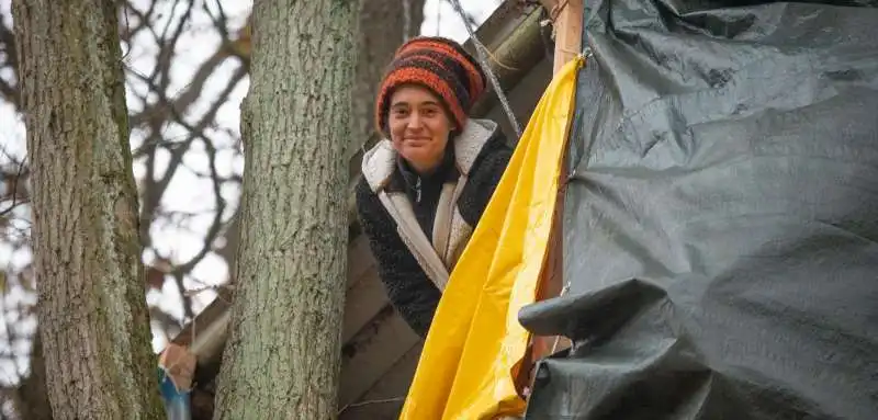 carola rackete sull albero nella foresta