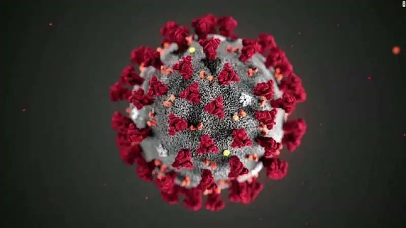 il coronavirus