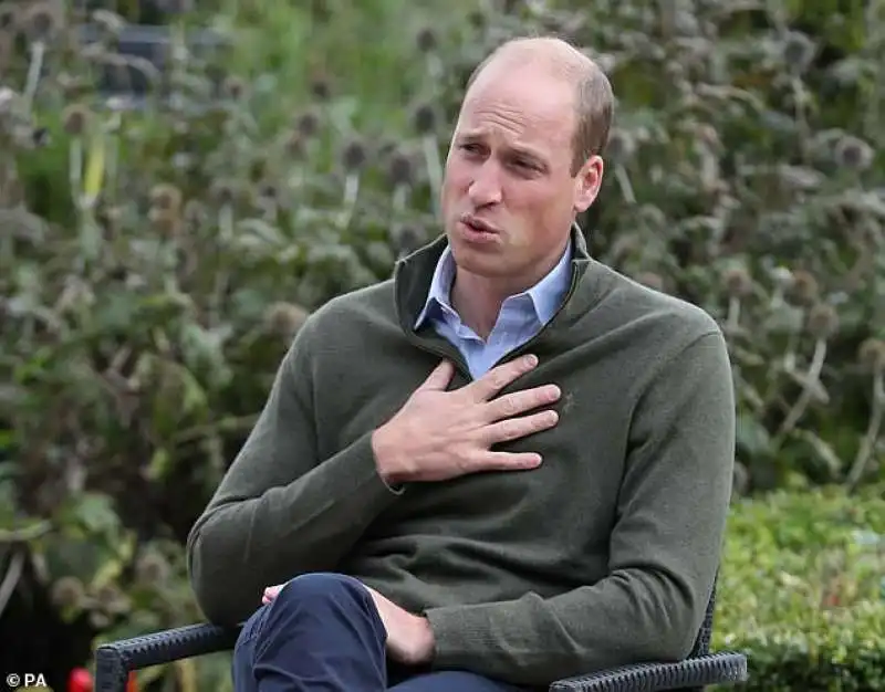 il principe william