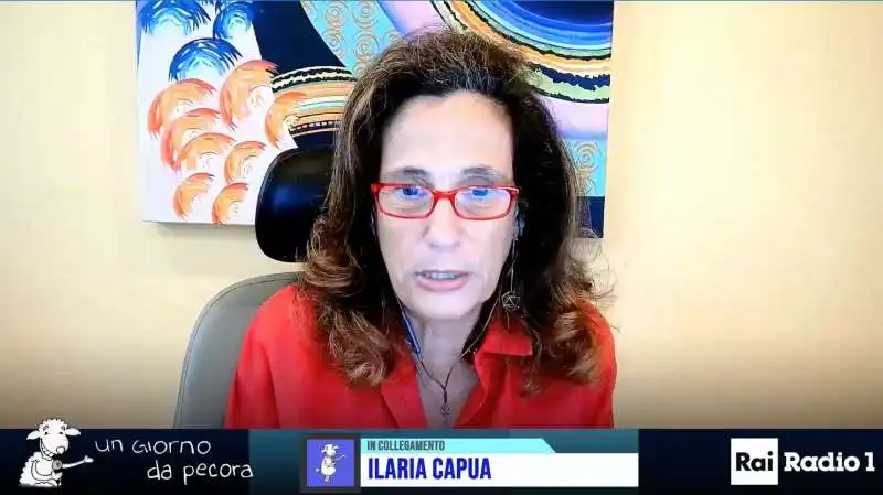 ilaria capua a un giorno da pecora 1