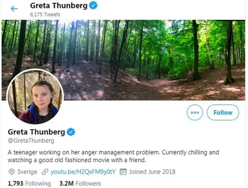 la bio di greta dopo il tweet di trump