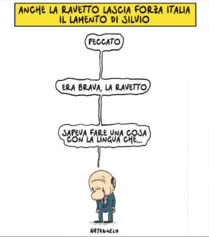 LA VIGNETTA DI NATANGELO SU LAURA RAVETTO