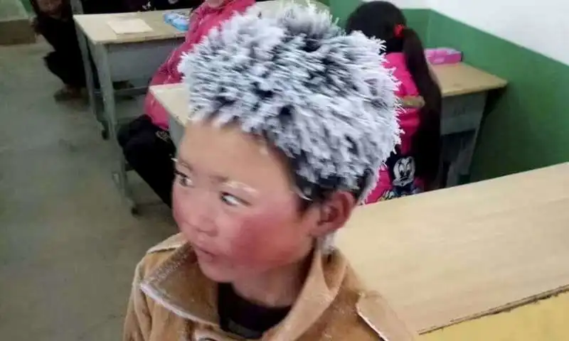 LO STUDENTE CON I CAPELLI GHIACCIATI DOPO UNA LUNGA CAMMINATA NEL GELO PER ARRIVARE A SCUOLA