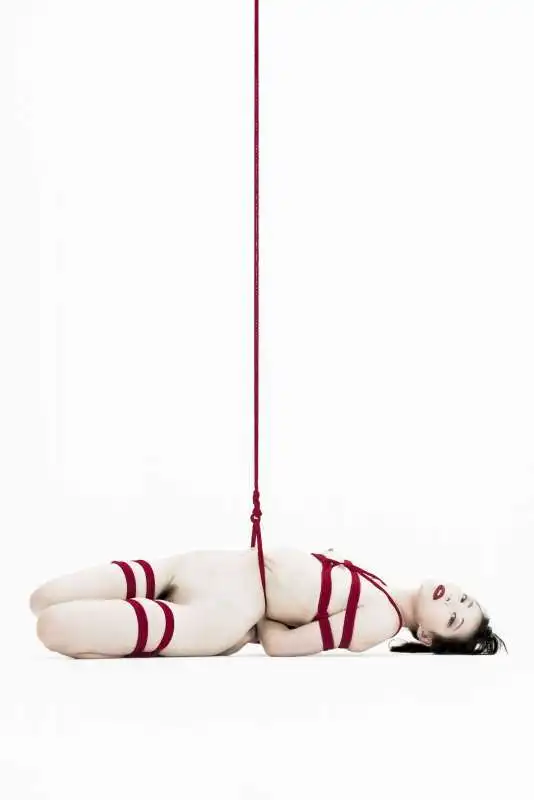 shibari 1