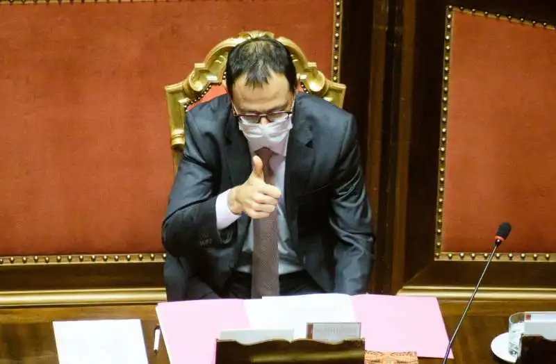  stefano patuanelli   question time in senato