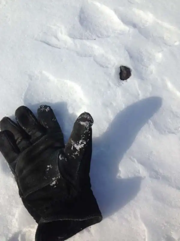 un frammento del meteorite caduto nel lago strawberry, in michigan  