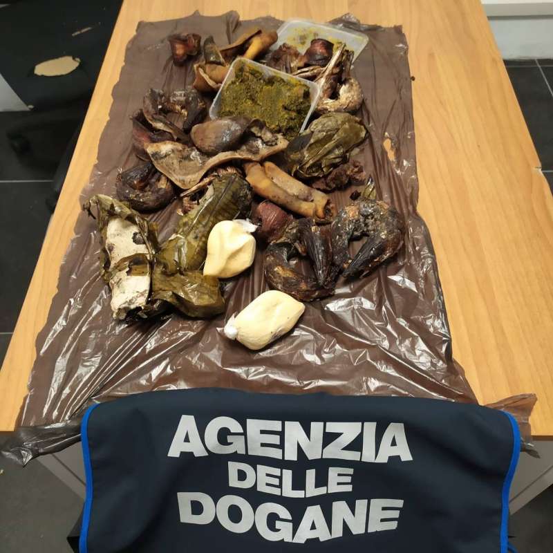 carne sequestrati da agenzia delle dogane e monopoli