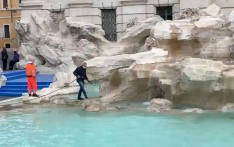 gabbiano divora una cornacchia alla fontana di trevi prima della foto dei leader   6