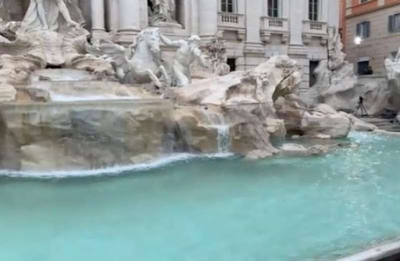 gabbiano divora una cornacchia alla fontana di trevi prima della foto dei leader 1