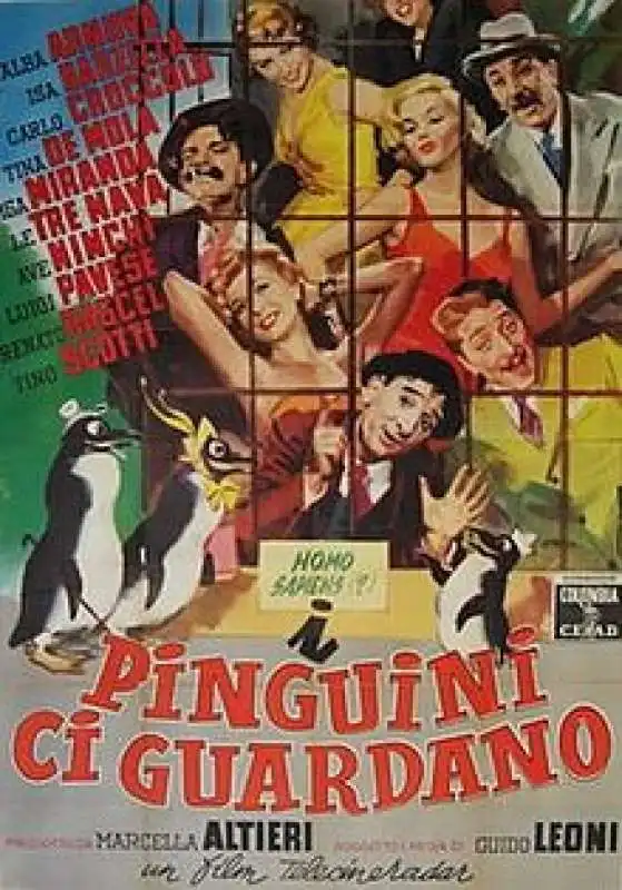 i pinguini ci guardano 