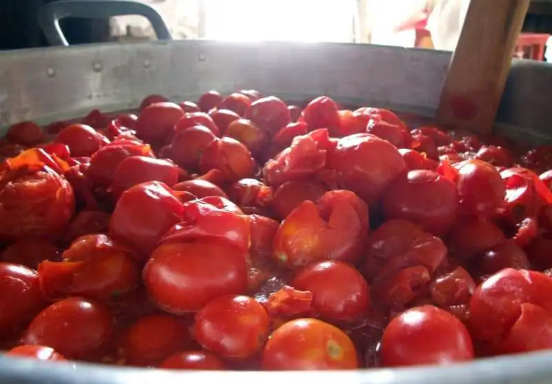 inchiesta sul pomodoro cinese 2