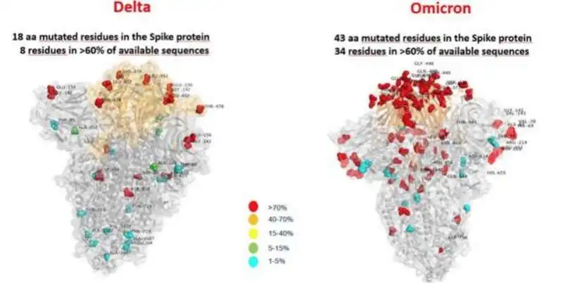 LA PROTEINA SPIKE DELLA VARIANTE DELTA E QUELLA DELLA OMICRON