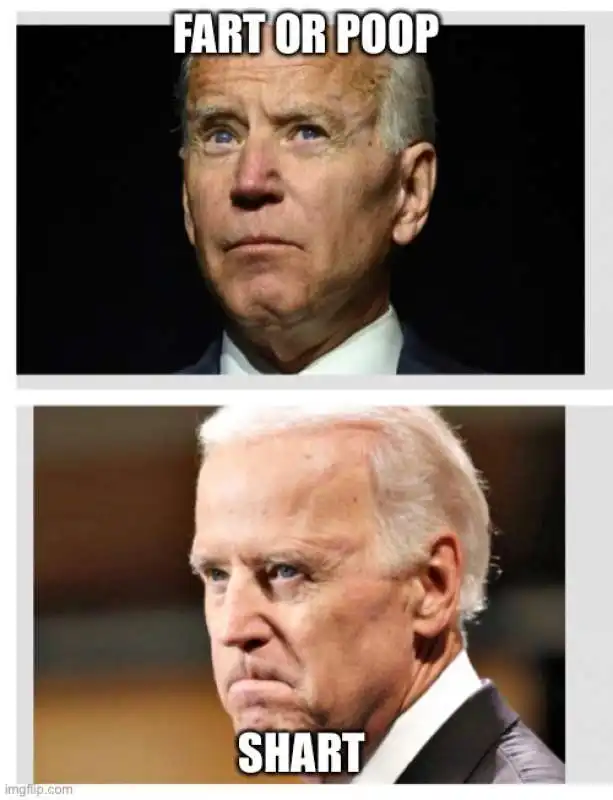 MEME BIDEN PETO 