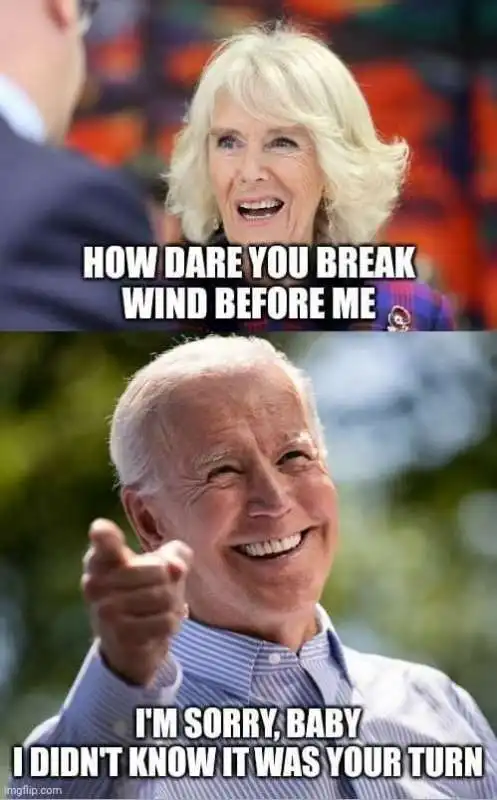 MEME BIDEN PETO 